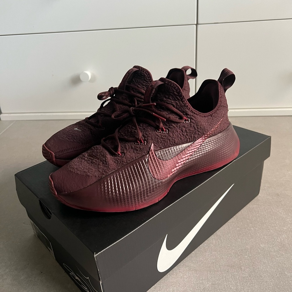 Nike LeBron TR1